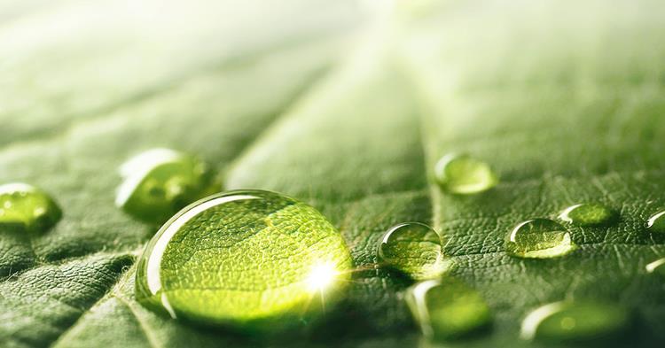 Ricoh se hisse à la 39e place du classement Carbon Clean200™ 2025