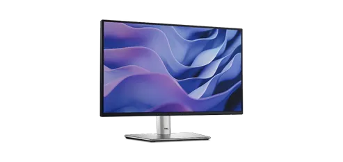 Écran Dell Pro 22 Plus - P2225H