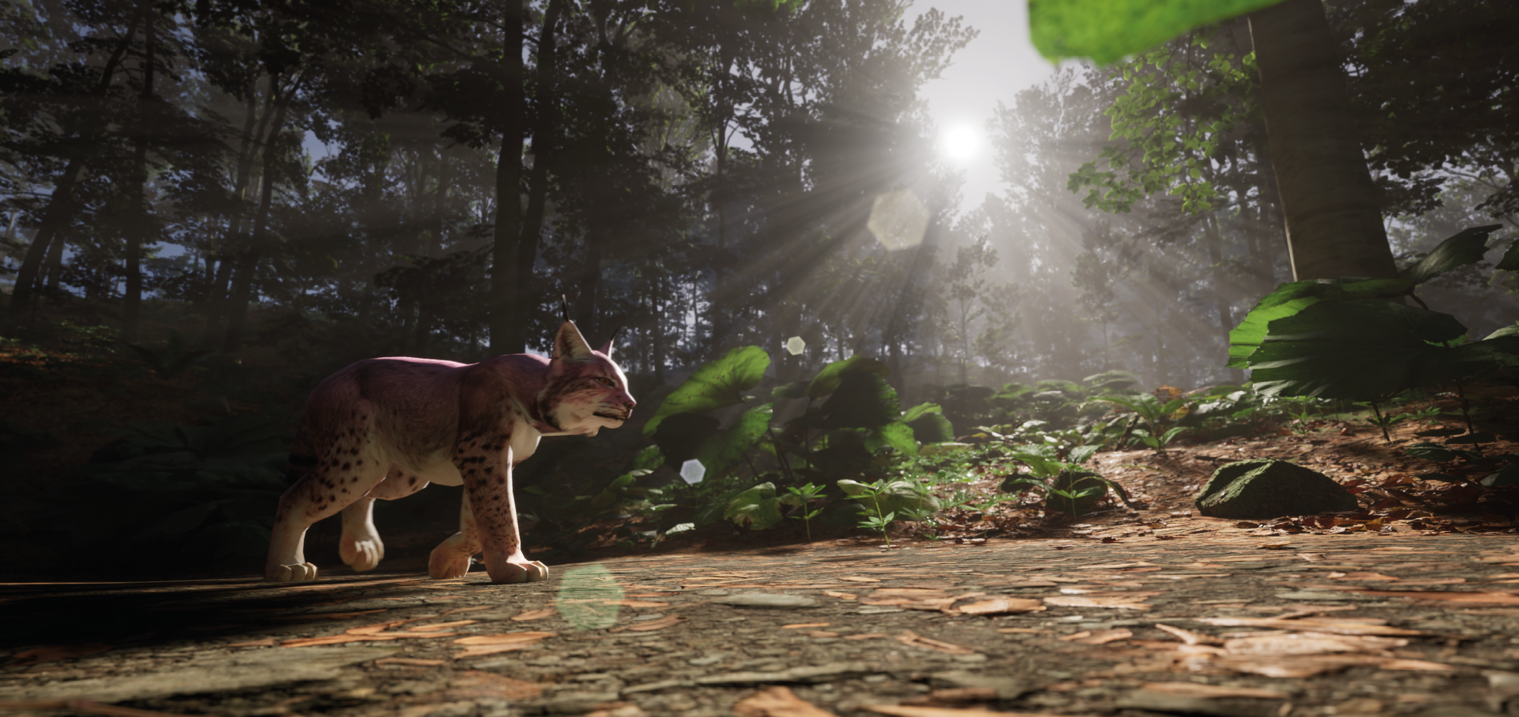 Creatively expand your product range