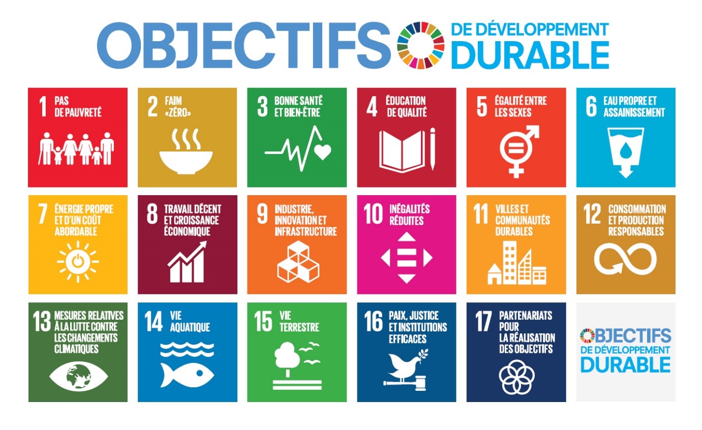 Our approach to sustainability - SDG Goals