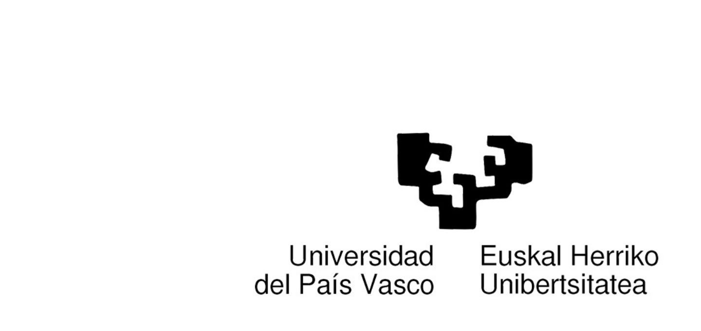 Université du Pays Basque