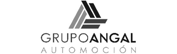 Grupo Angal